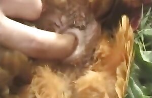 Người đàn ông phát hiện ra loài gia cầm hấp dẫn để chạm vào trong clip khiêu dâm miễn phí ở sở thú