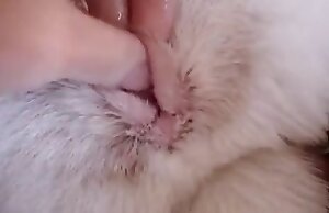 Động vật xoắn thưởng thức ngón tay Hardcore